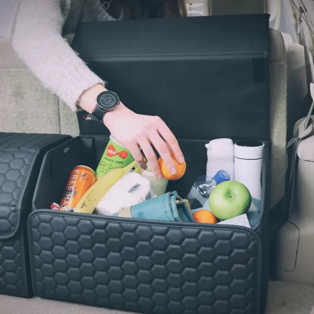 Close-up of Nissan Sentra Trunk Organizer - view 7 (product view)