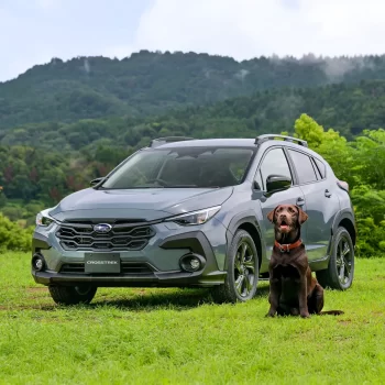 Subaru Crosstrek Dog Seat Cover