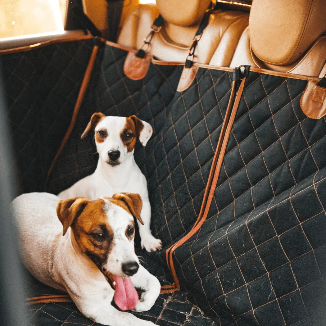 RAM 1500 Dog Seat Cover in detail - image 6 (product view)