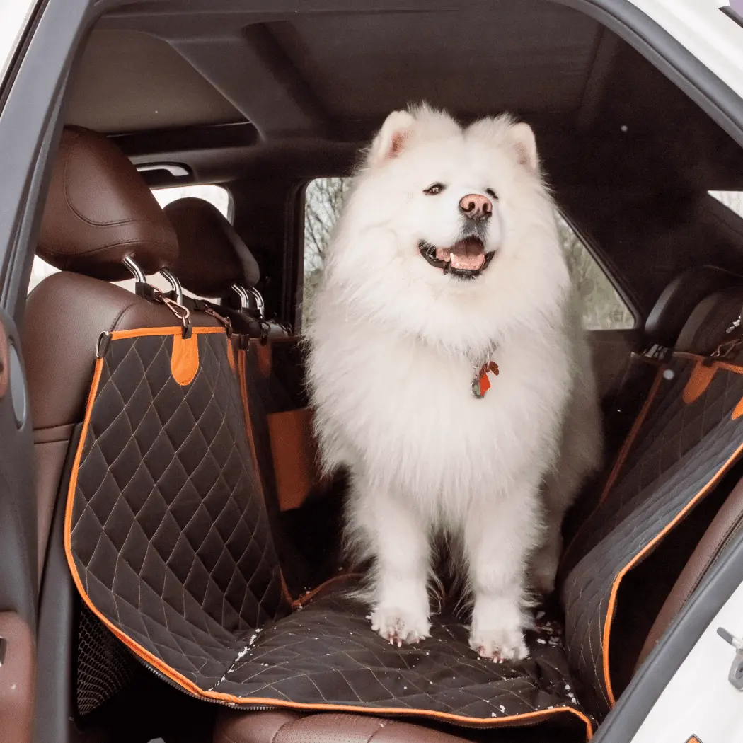 Close-up of RAM 1500 Dog Seat Cover - view 7 (product view)