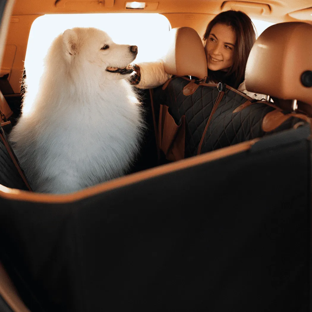 Nissan Sentra Dog Seat Cover in detail - image 6 (product view)