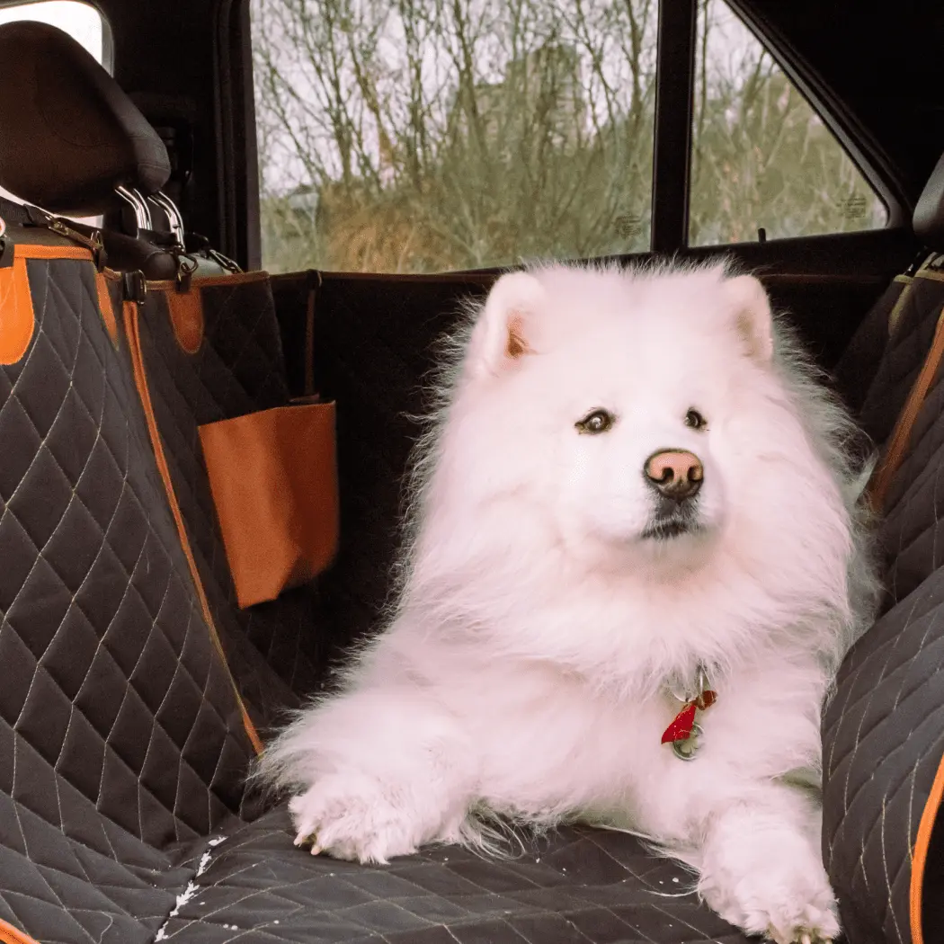 Subaru Crosstrek Dog Seat Cover in detail - image 6 (product view)