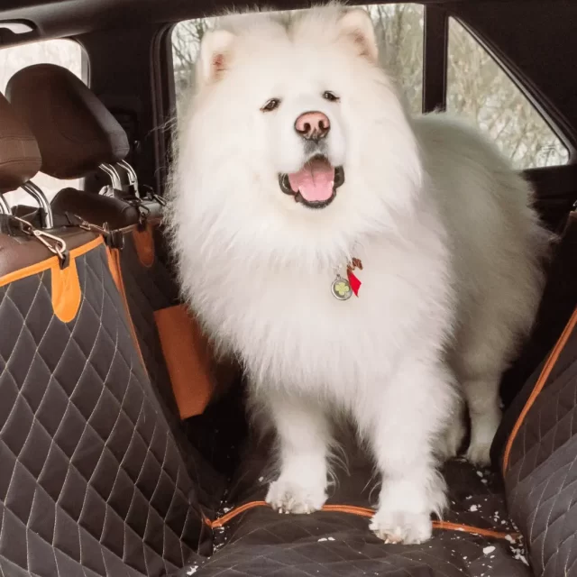 Subaru Crosstrek Dog Seat Cover product image 8 (product view)