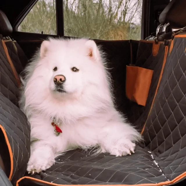 Close-up of Subaru Forester Dog Seat Cover - view 7 (product view)