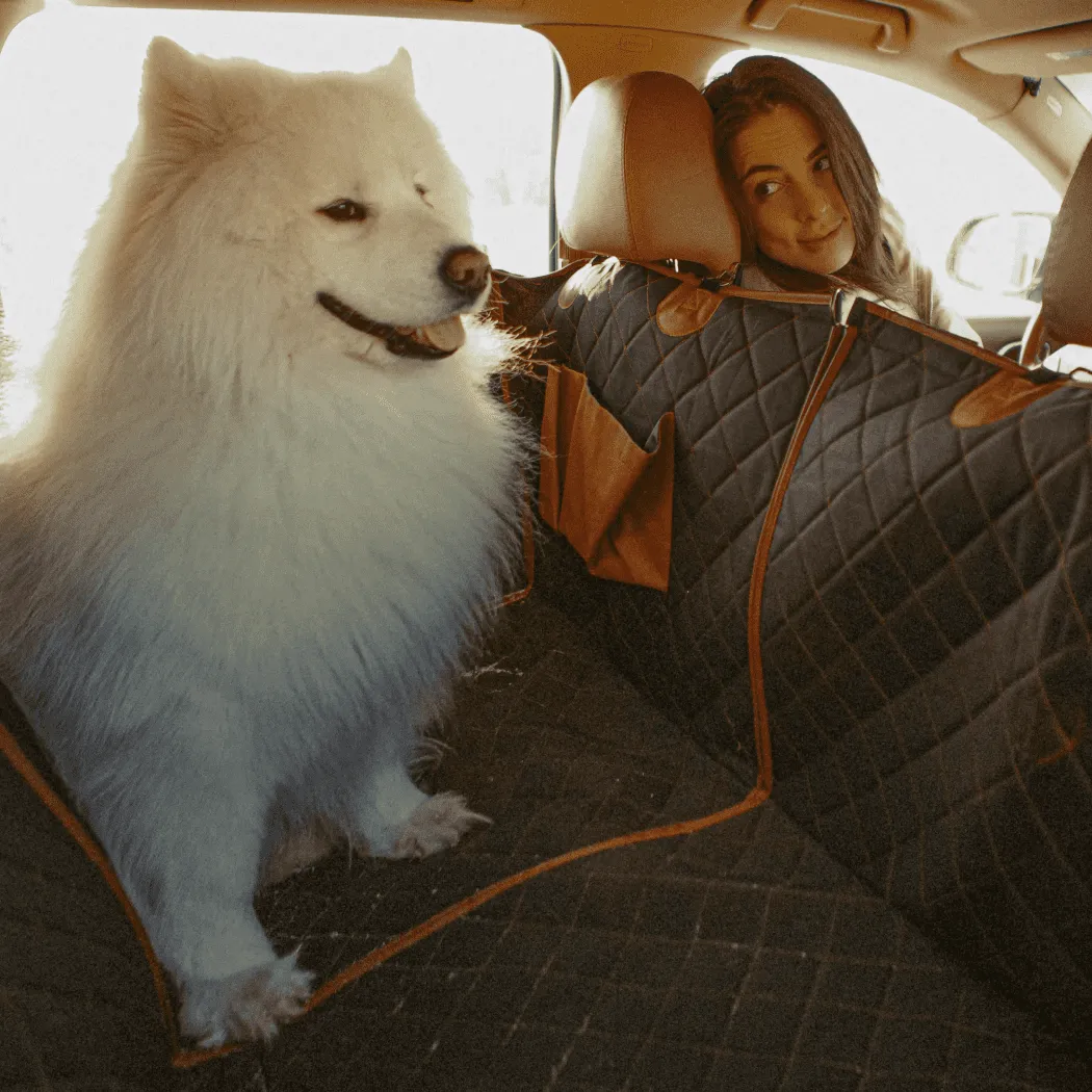 Honda CR-V Dog Seat Cover in detail - image 6 (product view)