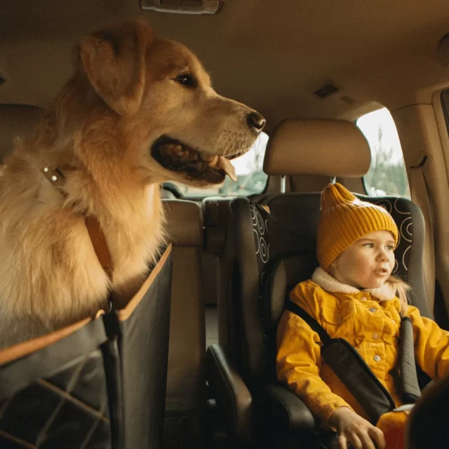 Close-up of Hyundai Tucson Dog Seat Cover - view 7 (product view)