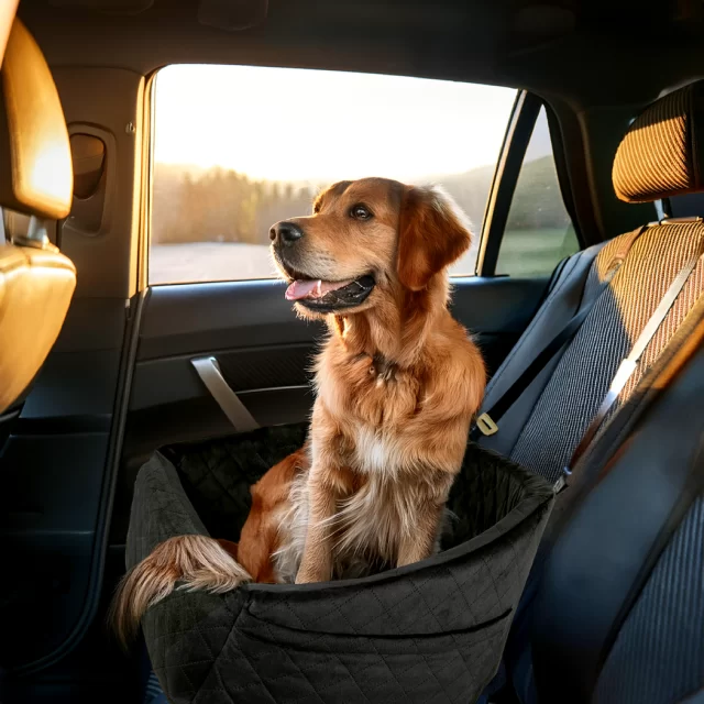 Dog Car Booster Seat  |  “Paws Ride” by Owleys