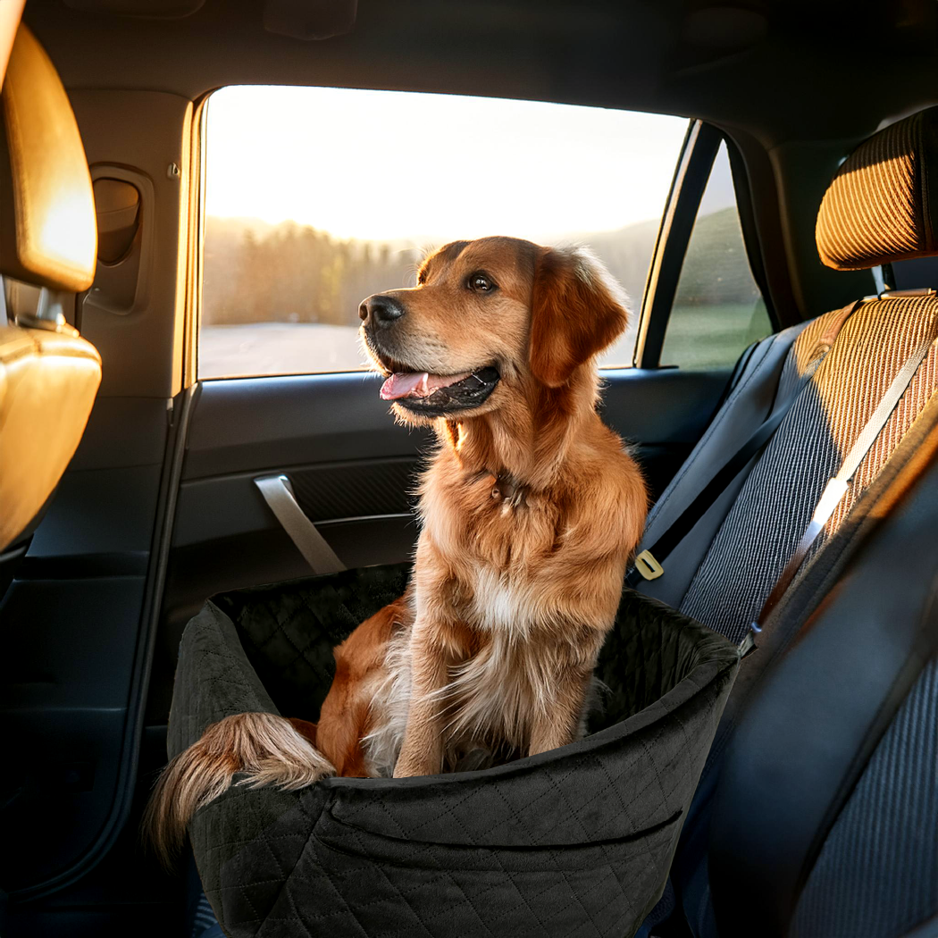 Image of Dog Seat For A Car |  “Paws Ride” by Owleys - view 0 (product view)