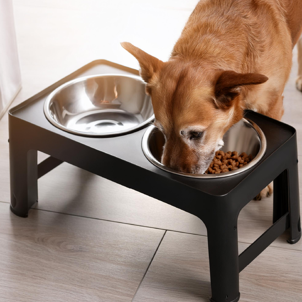 Image of Elevated Dog Bowls  |  “High Bites” by Owleys - view 0 (product view)