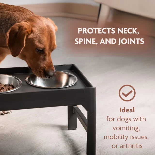 Elevated Dog Bowls  |  “High Bites” by Owleys in detail - image 1 (product view)