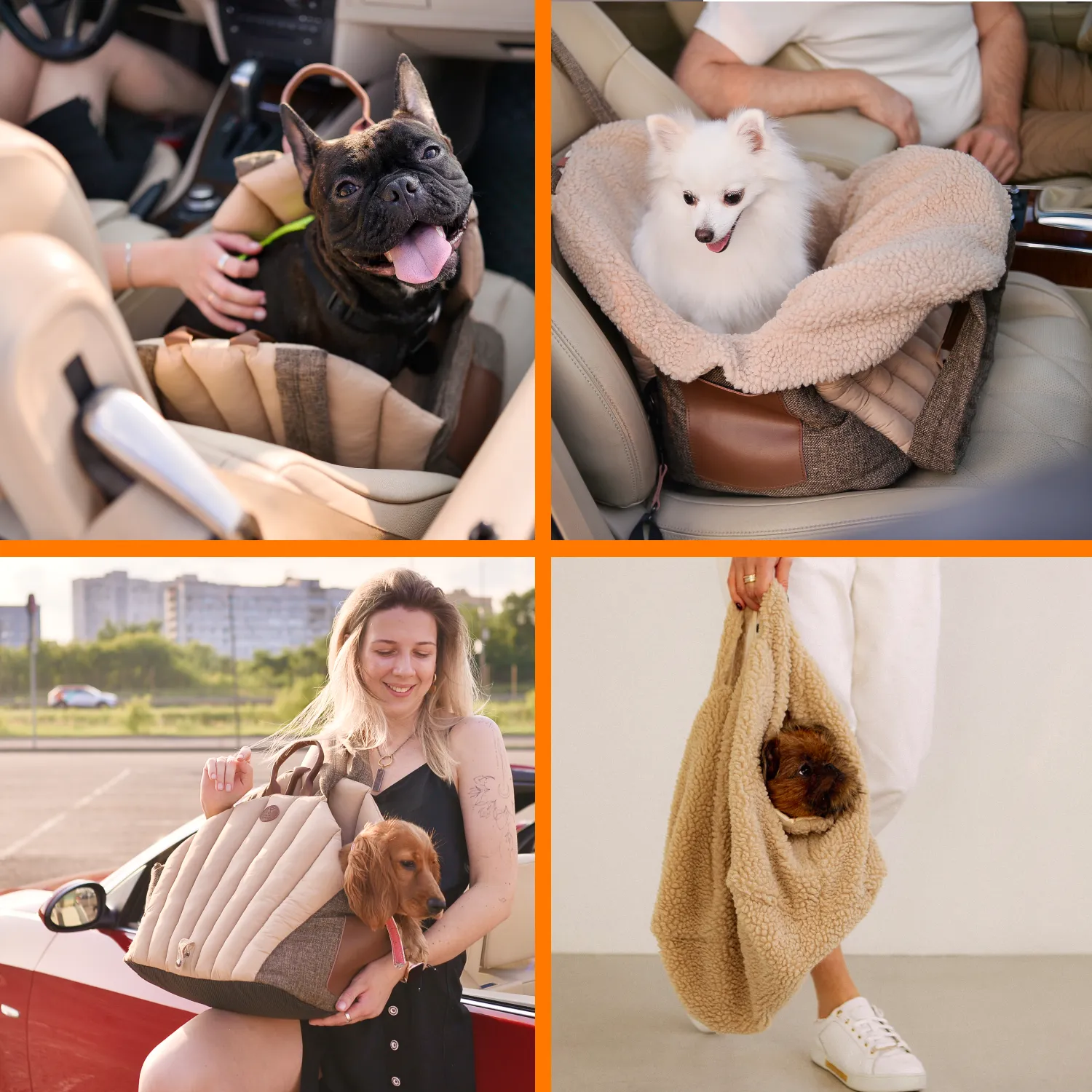Dog Carrier Bag  |  “Seashell King Woof” by Owleys - View 12
