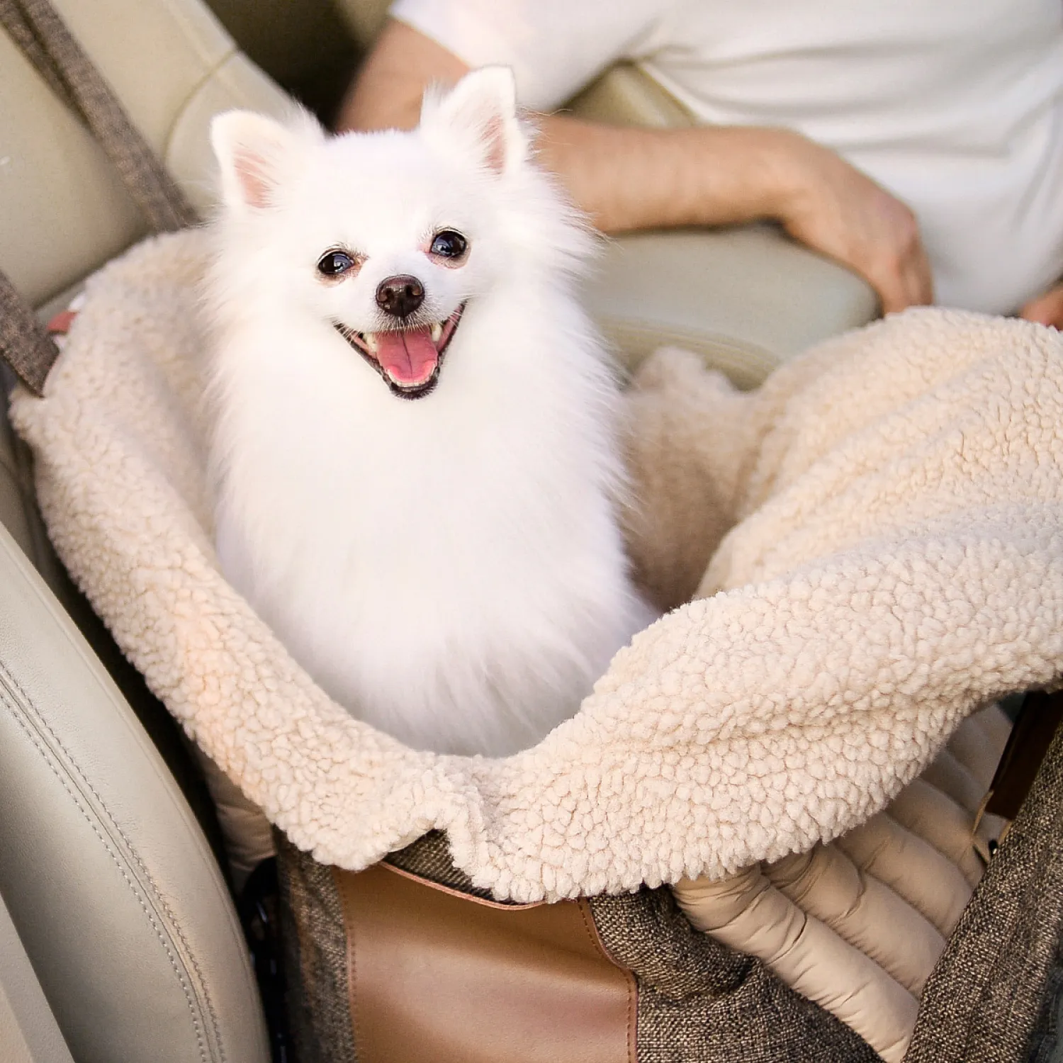 Dog Carrier Bag  |  “Seashell King Woof” by Owleys - View 9