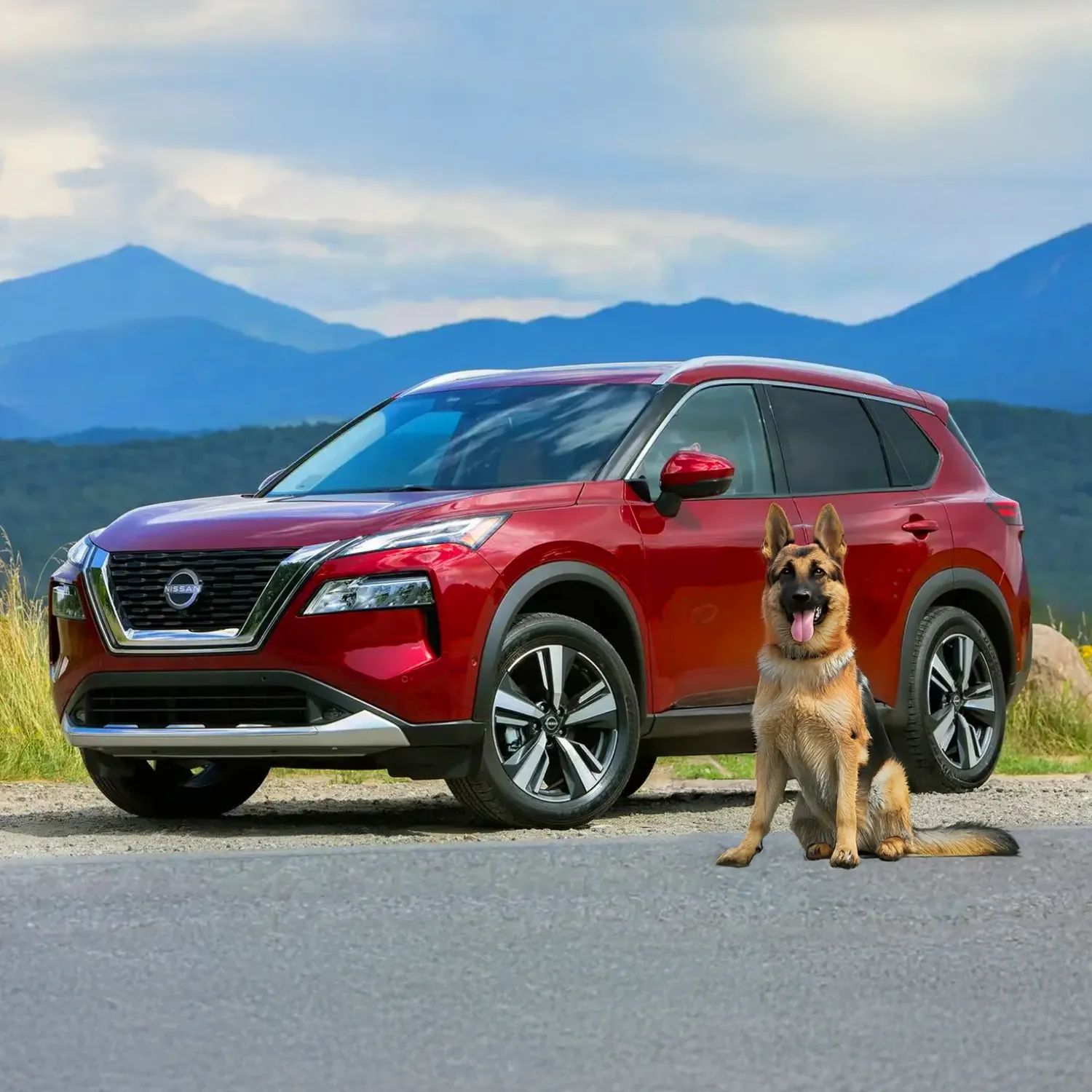 Nissan Rogue Dog Seat Cover
