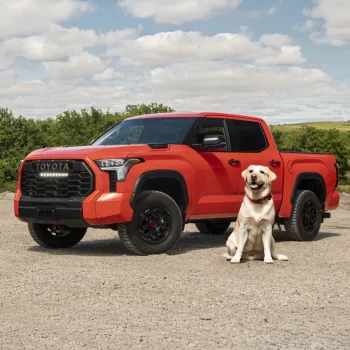 Toyota Tundra Dog Seat Cover