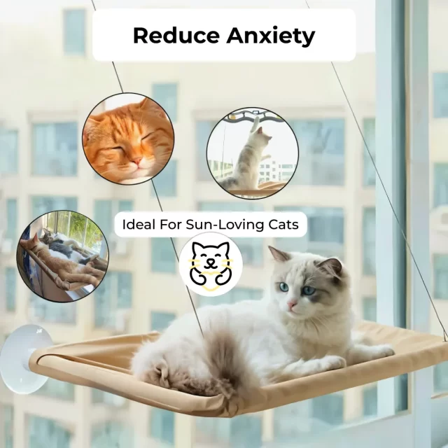 Image of Cat Window Hammock  |  “Sky Lounge” by Owleys - view 5 (product view)