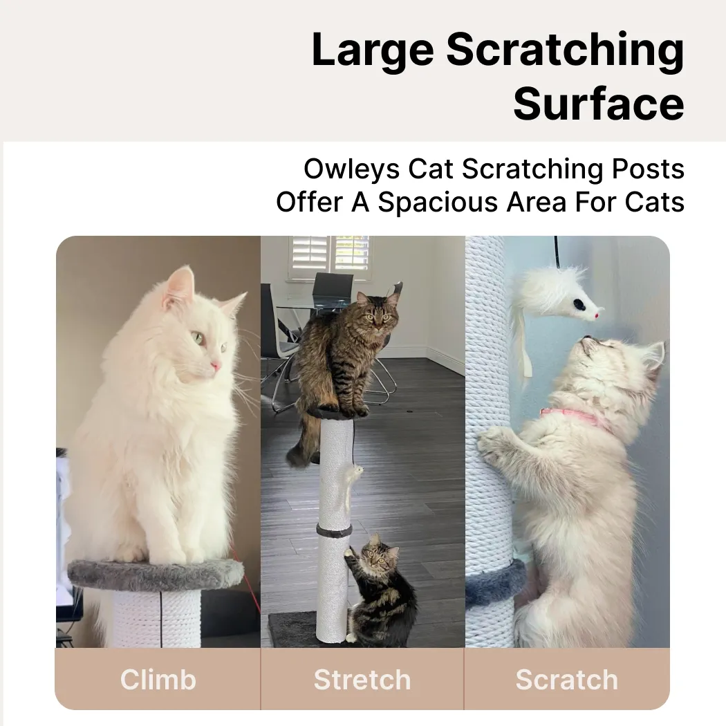 Cat Scratching Post  |  “Purr Pad” by Owleys in detail - image 1 (product view)