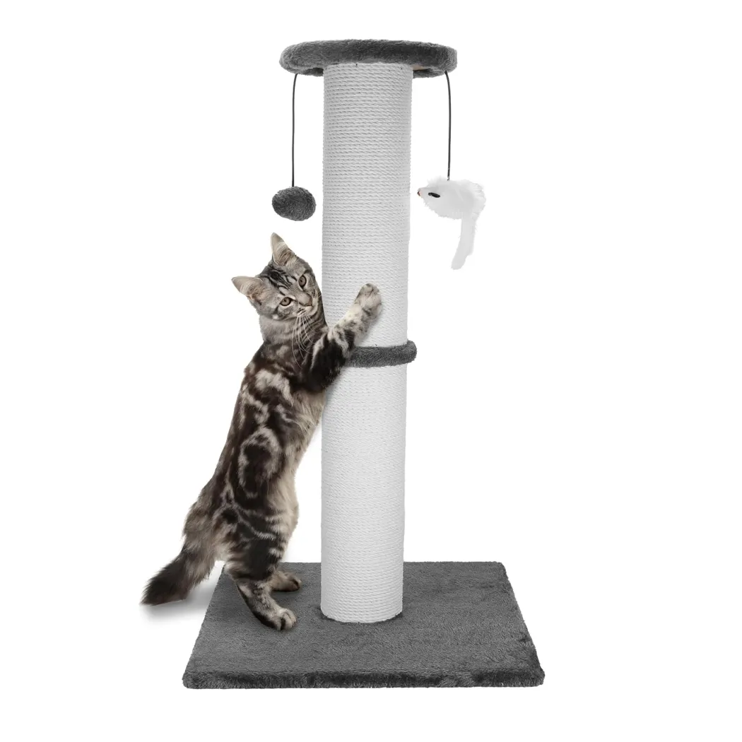 Image of Cat Scratching Post  |  “Purr Pad” by Owleys - view 0 (product view)