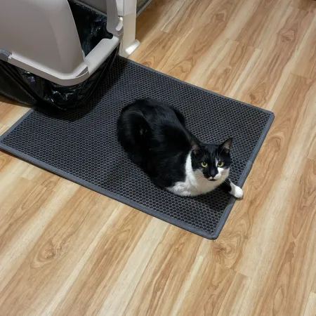 Cat Litter Mat 3 Description