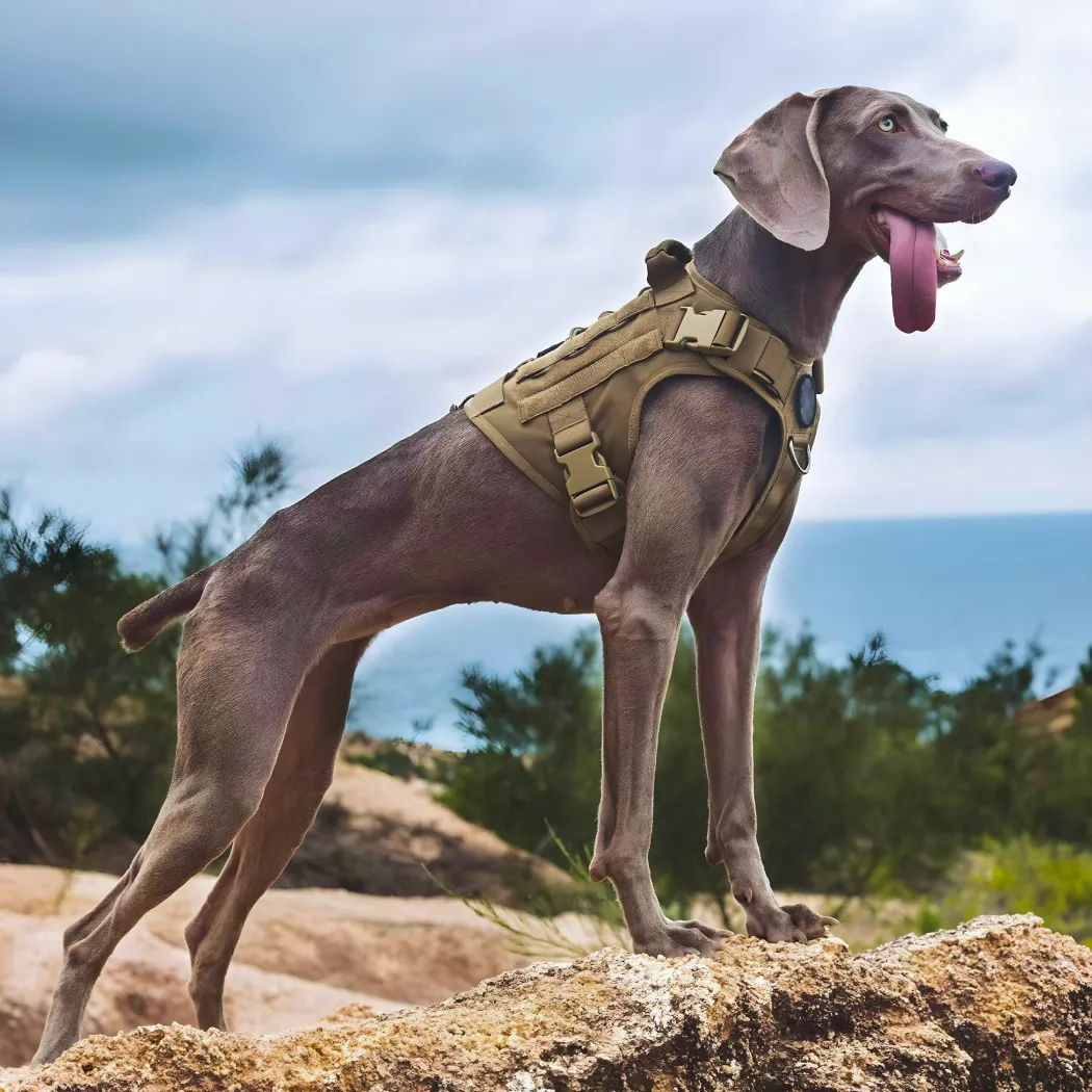 Tactical Dog Harness with Leash  |  “Iron Dog” by Owleys in detail - image 1 (product view)