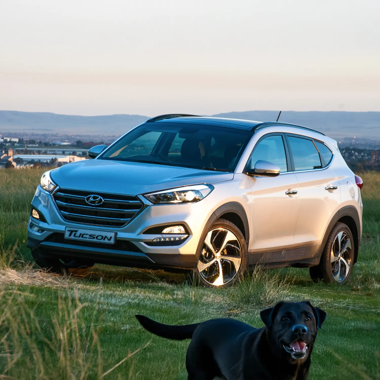 Hyundai Tucson Dog Seat Cover