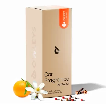 Car Diffuser Oil “Sunset Lake BBQ” by…