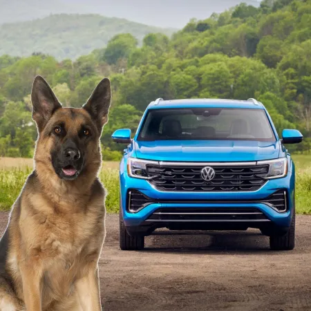 Volkswagen Atlas Dog Seat Cover 1 Description