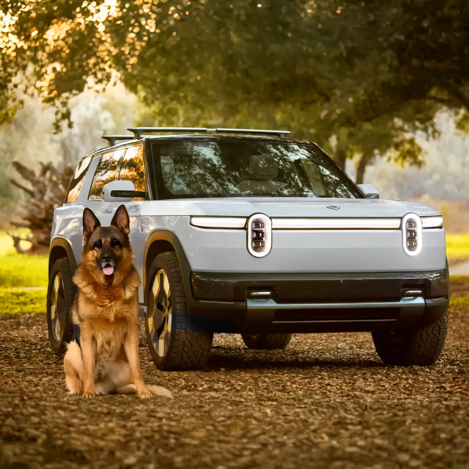 Rivian Dog Seat Cover  |  “Travel Buddy” by Owleys - View 1