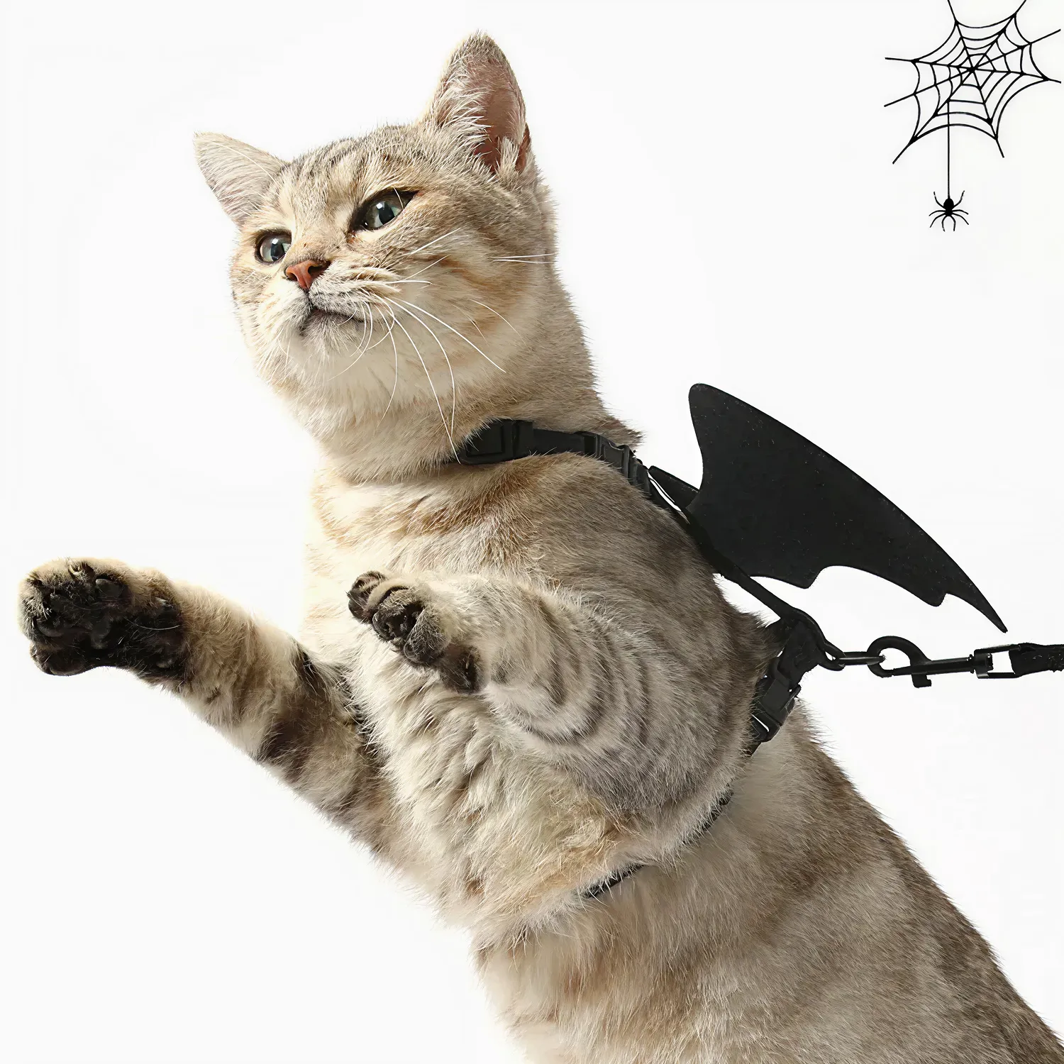 Bat Wings Harness for Cats & Dogs  |  “Mini Dracula” by Owleys - View 5