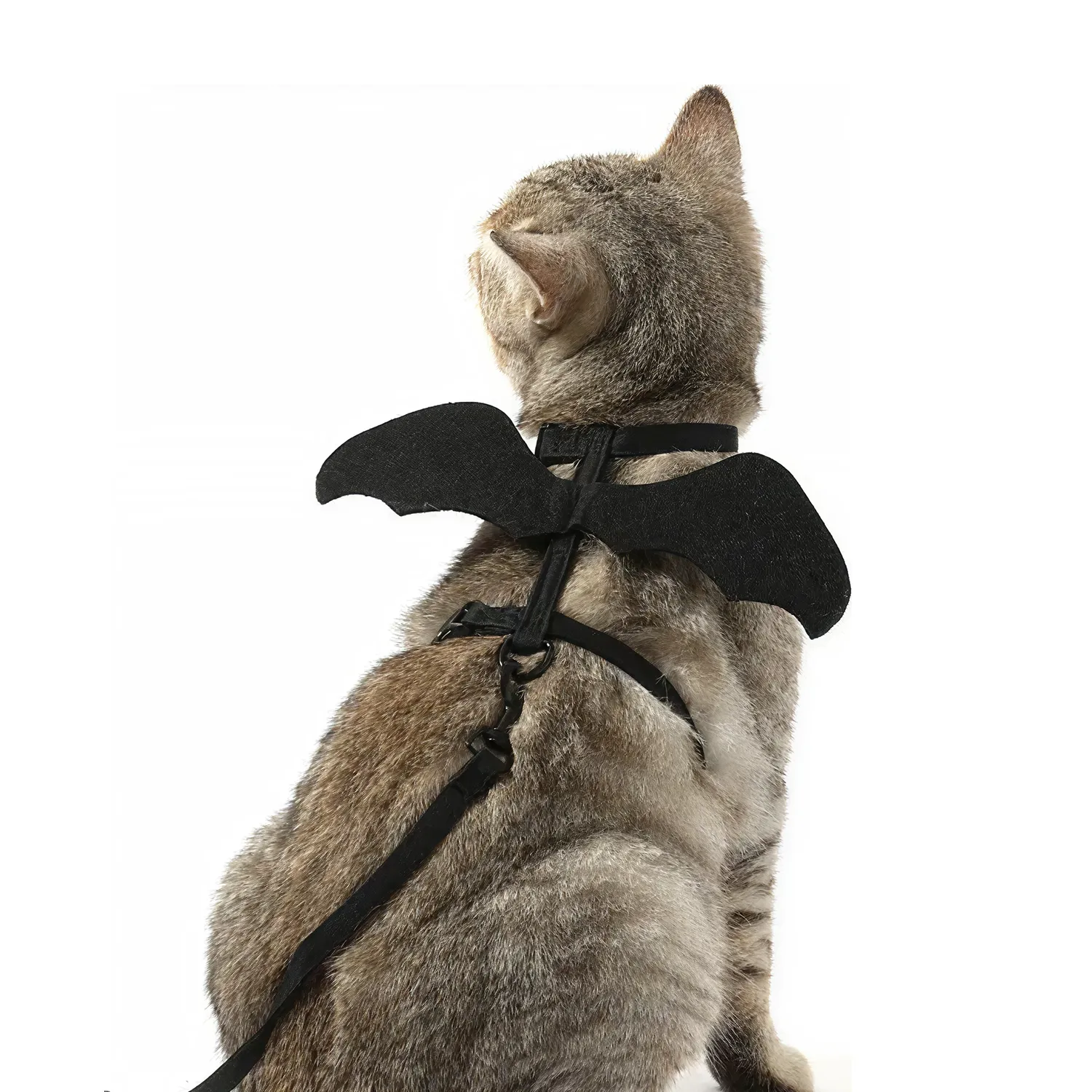 Bat Wings Harness for Cats & Dogs  |  “Mini Dracula” by Owleys - View 6