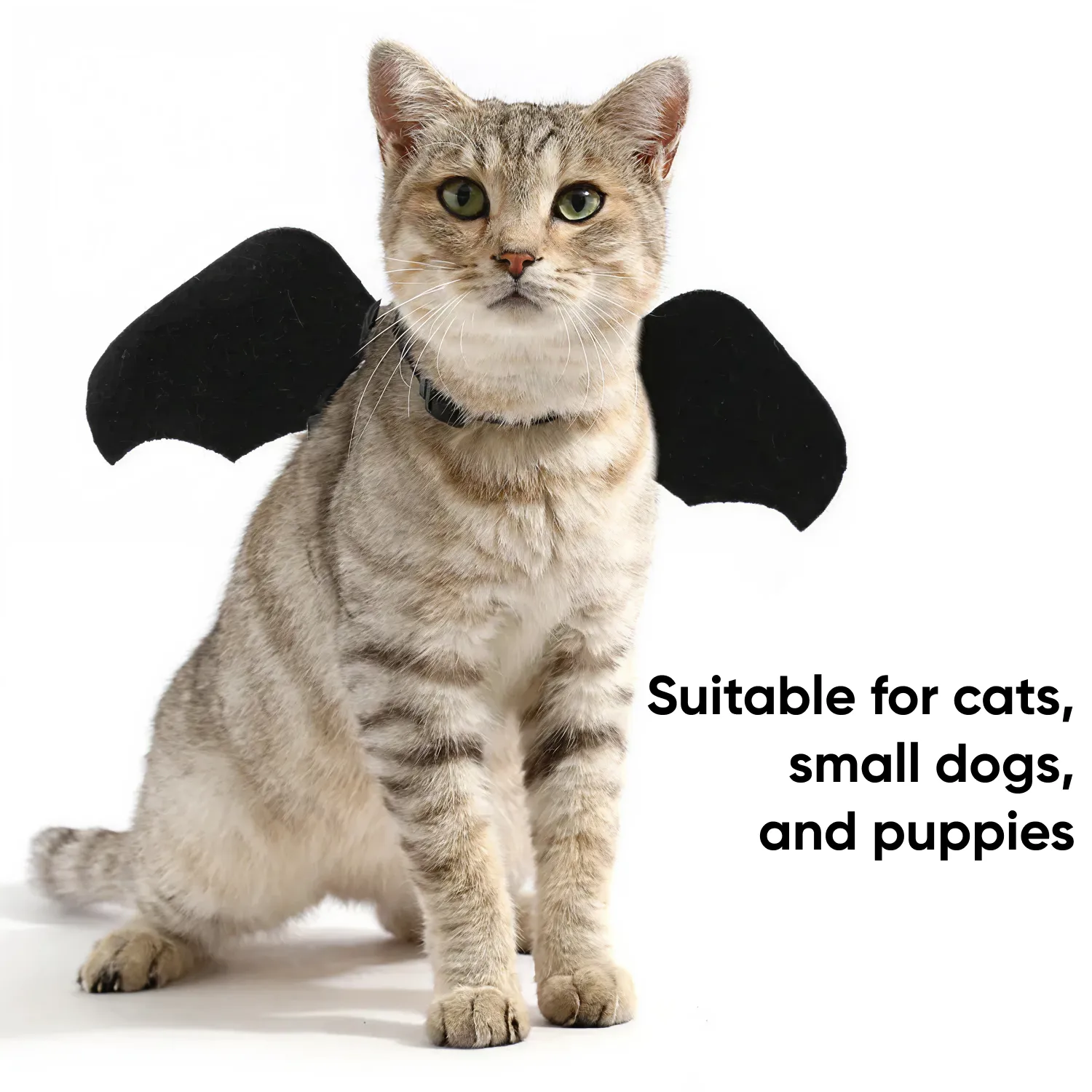 Bat Wings Harness for Cats & Dogs  |  “Mini Dracula” by Owleys - View 2