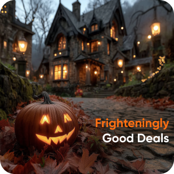 Owleys Daily Deals