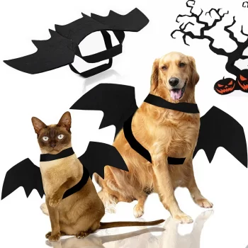 Halloween Bat Costume for Dogs & Cats