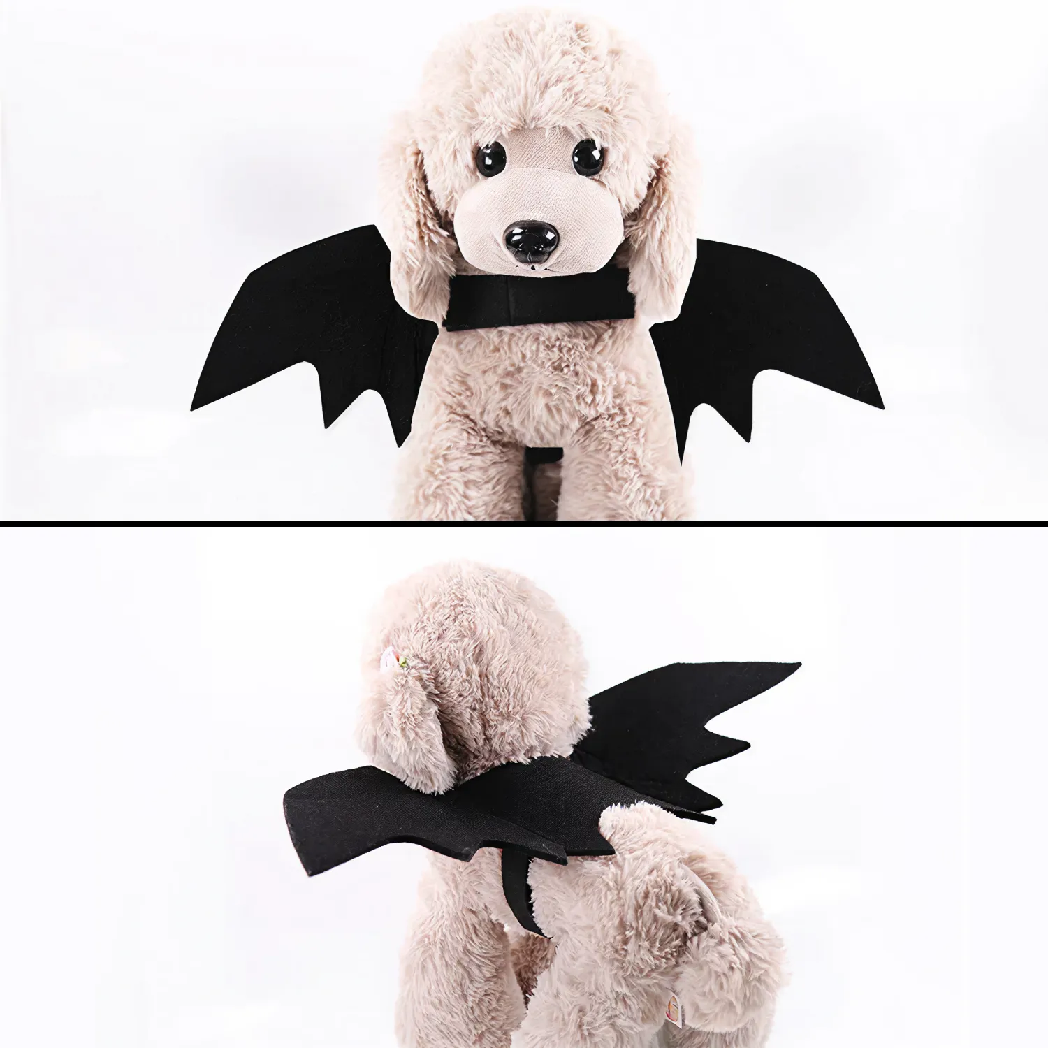 Halloween Bat Costume for Dogs & Cats | “Bat Buddy” by Owleys - View 4