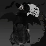 Halloween Bat Costume for Dogs & Cats  |  “Bat Buddy” by Owleys - View 8