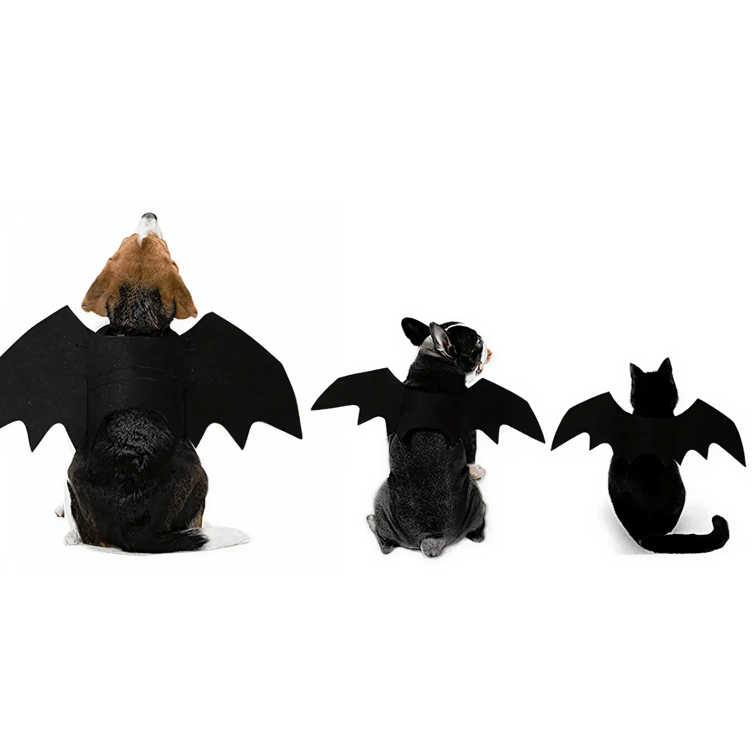 Halloween Bat Costume for Dogs & Cats | “Bat Buddy” by Owleys - View 2