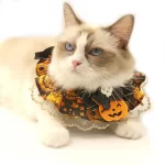Halloween Lace Pet Collar  |  “Pumpkin Lace” by Owleys - View 2