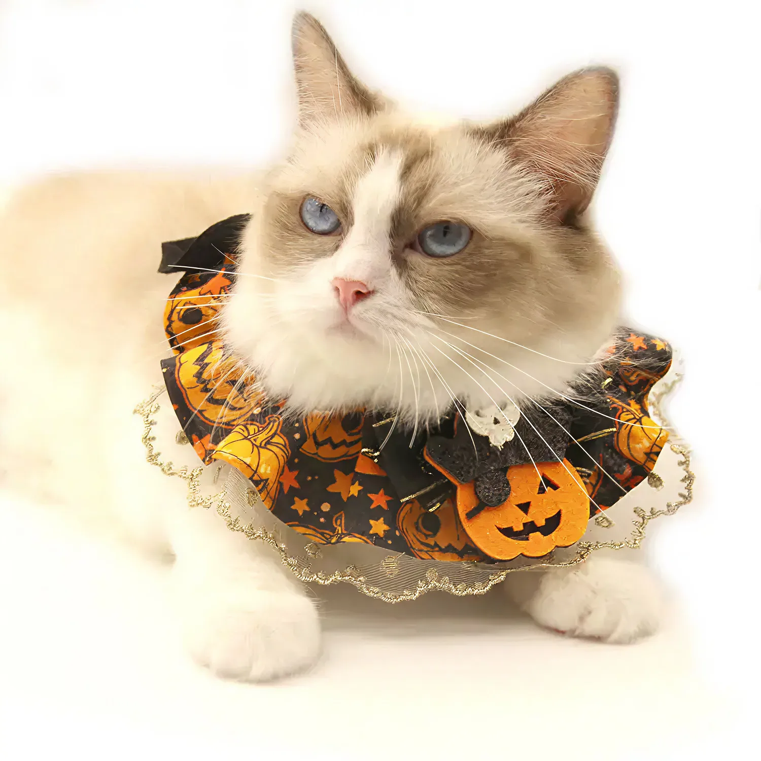 Halloween Lace Pet Collar  |  “Pumpkin Lace” by Owleys - View 2