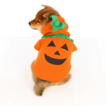 Halloween Dog Pumpkin Costume