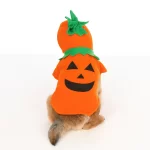 Halloween Dog Pumpkin Costume  |  “Pumpkin Pup” by Owleys - View 3