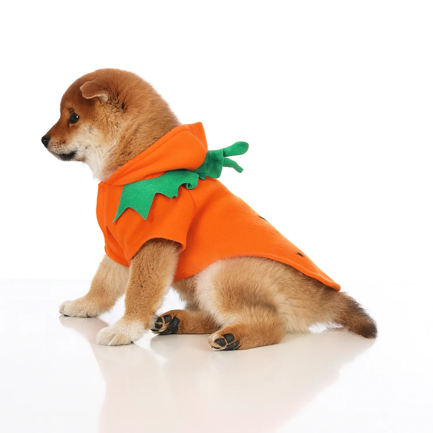 Halloween Dog Pumpkin Costume | “Pumpkin Pup” by Owleys - View 2