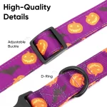 Halloween Themed Dog Collar  |  “Boo Blossom” by Owleys - View 5