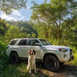 Toyota 4Runner Dog Seat Cover  |  “Travel Buddy Light” by Owleys - View 1
