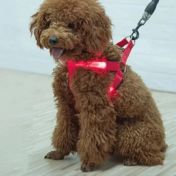 Colorful LED Dog Harness – Paw Pal Collection