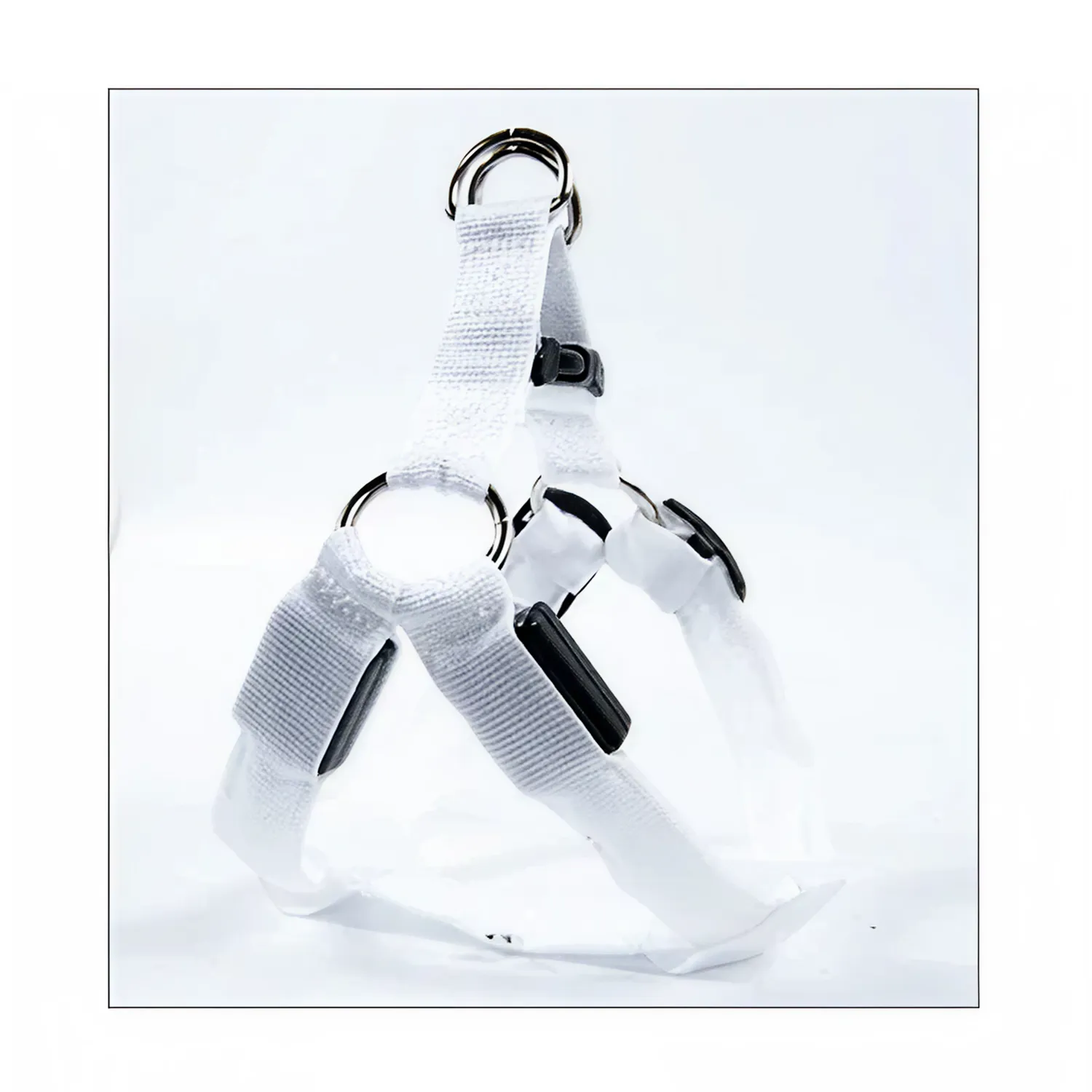 Colorful LED Dog Harness – Paw Pal Collection  |  Owleys Partnership