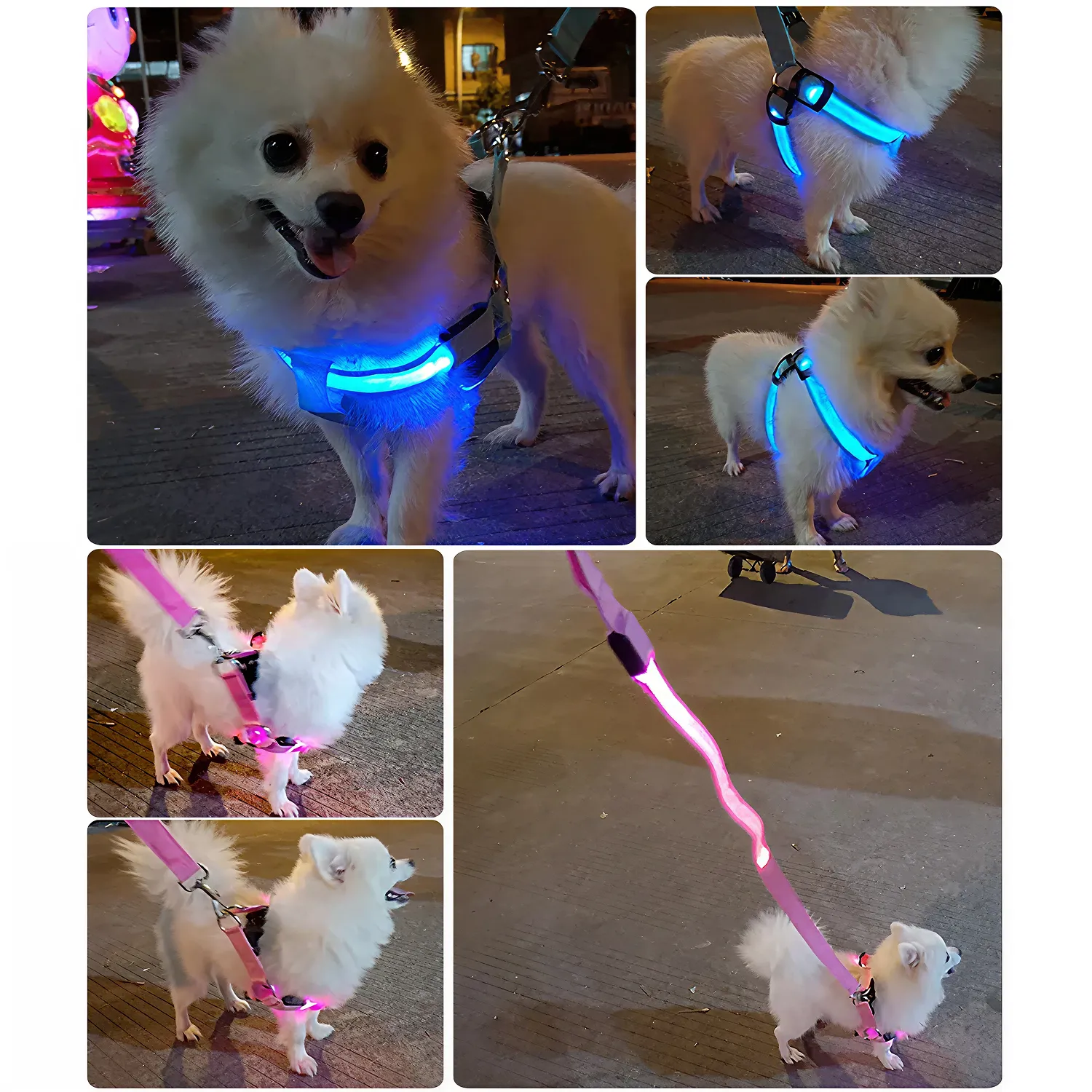 Colorful LED Dog Harness – Paw Pal Collection | Owleys Partnership - View 6