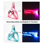 Colorful LED Dog Harness – Paw Pal Collection  |  Owleys Partnership - View 3