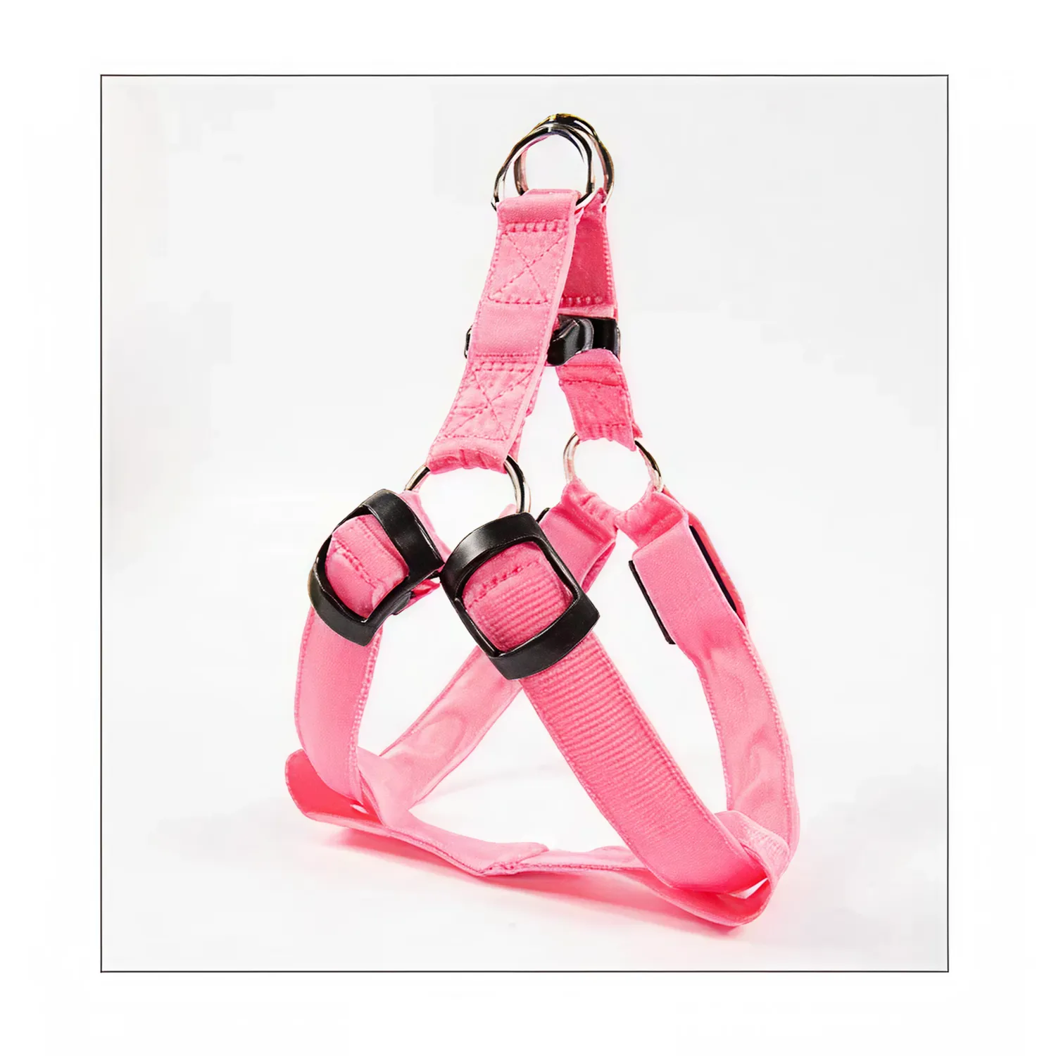 Colorful LED Dog Harness – Paw Pal Collection  |  Owleys Partnership