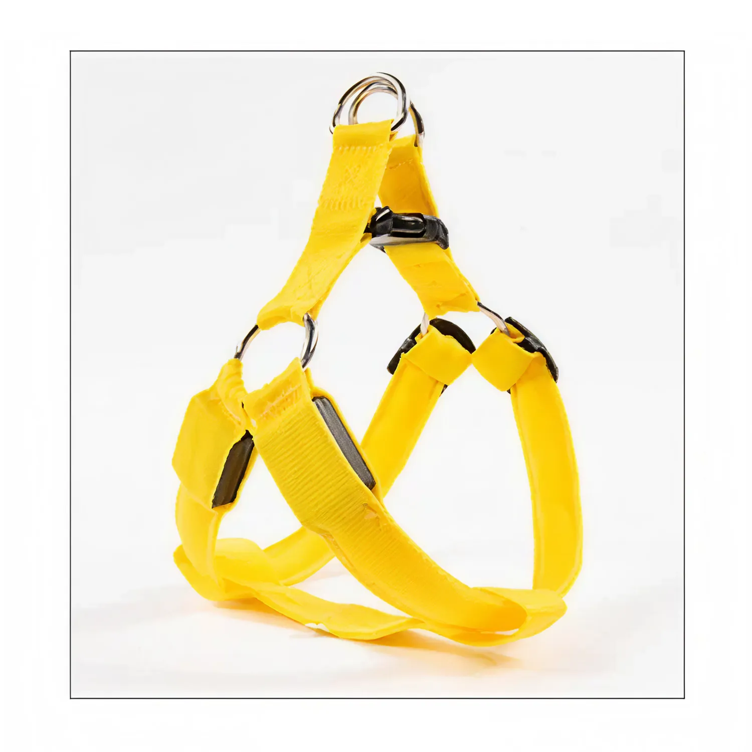 Colorful LED Dog Harness – Paw Pal Collection  |  Owleys Partnership