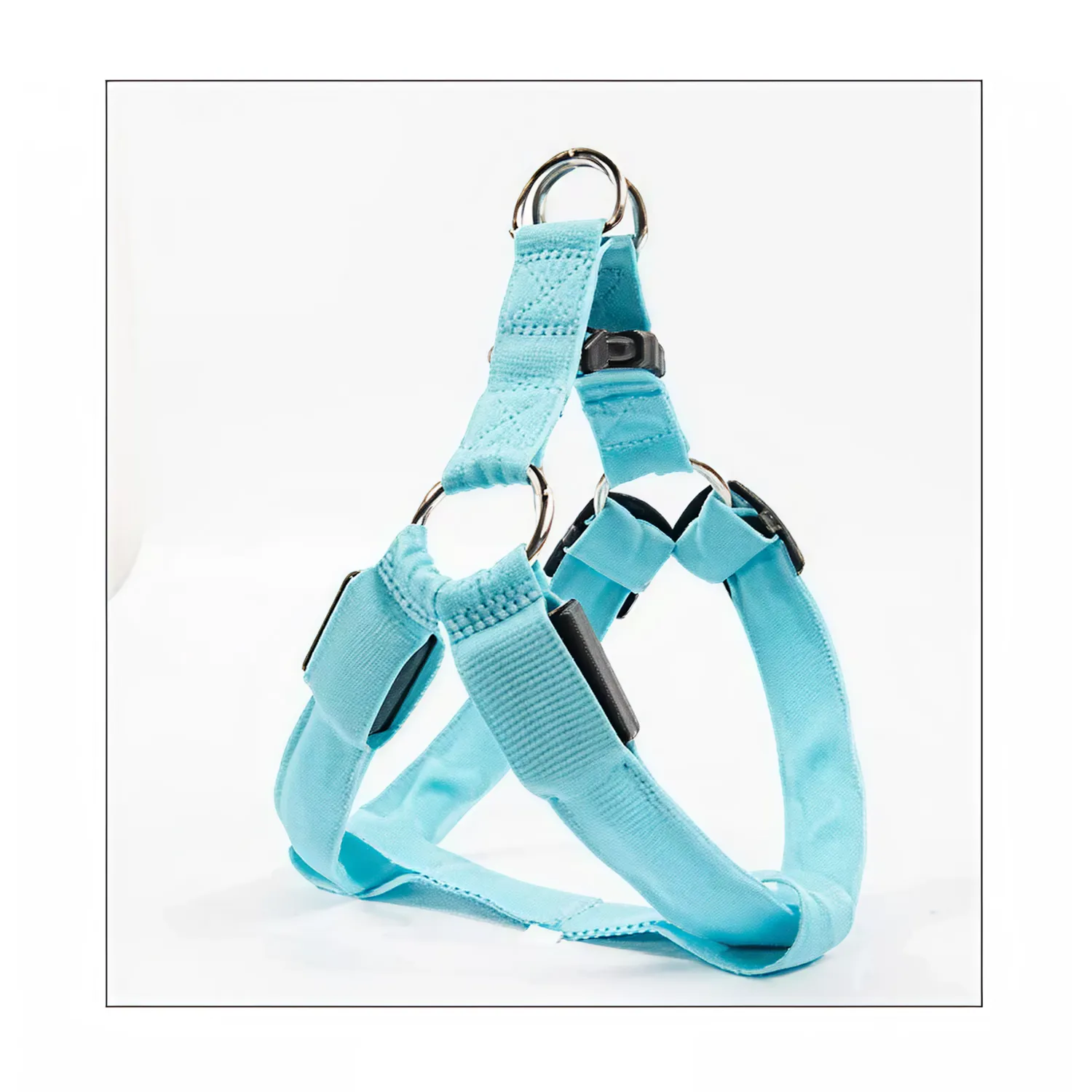 Colorful LED Dog Harness – Paw Pal Collection  |  Owleys Partnership