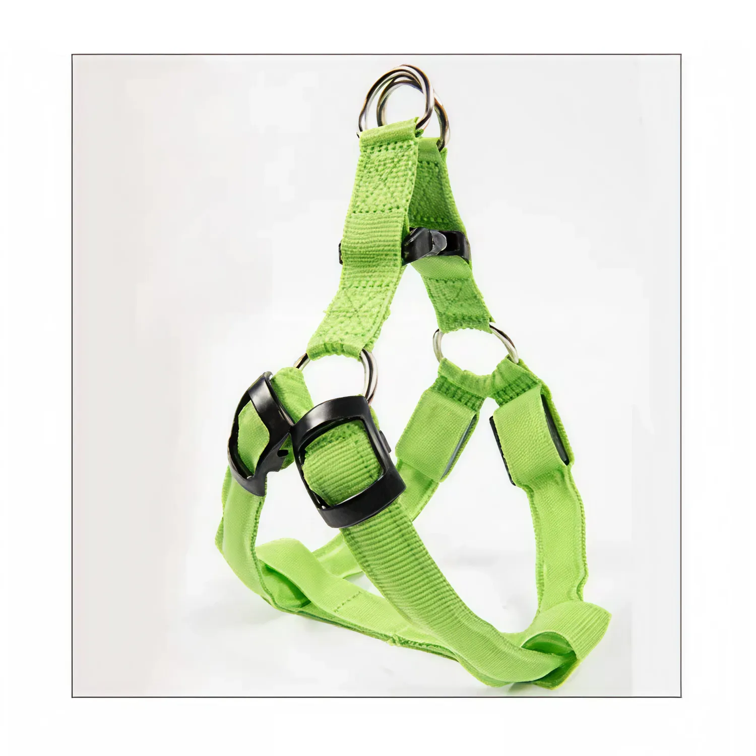 Colorful LED Dog Harness – Paw Pal Collection  |  Owleys Partnership